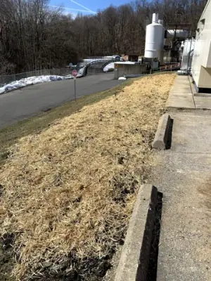 Restored ground along the buried utility route beside the building.