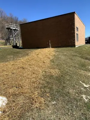 Restored grassed slope along the utility route to the facility building.